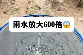 雨水放大……难怪淋雨这么痒痒#显微镜下的世界 #微观世界 #雨水