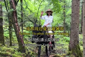 住在大山深处溪谷旁的小木屋，是一种什么样的体验呢？这个夏天视频封面