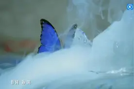 我愿意化蝶在你肩上落 守住你并不经意的执着视频封面