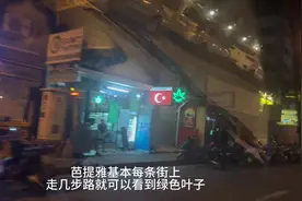 芭提雅真的到处都是绿色叶子标志，如果要在泰国选择一个城市生活