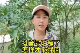 抖音号注消了你知道怎样才能找回吗#短视频创业 #分享抖音小知识