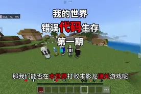 【我的世界】当我们身处在一个错误代码的世界