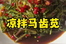 以前没人吃的菜现在变成了宝贝#美食教程 #马齿苋的功效 #马齿苋