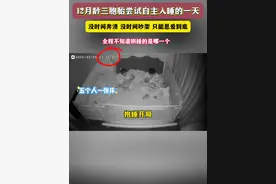 吵架？不存在的 三个娃轮流哄睡，根本没时间吵架，只能选择 恩爱到底！#监控下的一幕 #三胞胎吞金三豆 #人类幼崽 #90后带娃视频封面