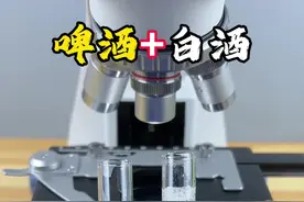 白酒啤酒混着喝，后果有多严重呢？#显微镜下的世界 #微观世界 #白酒啤酒视频封面