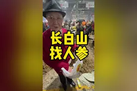 长白山找人参 #长白山 #人参 #鲜人参 #国庆假期被安排明白了