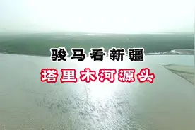 塔里木河，世界第5大内陆河、中国最大的内流河视频封面
