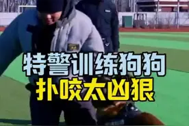 特警训练狗狗，扑咬太凶狠#特警#警犬#警察特训计划