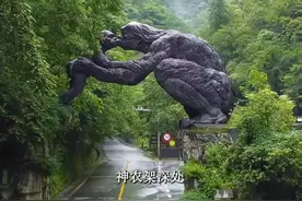 这里是我国最神秘的地方“神农架” 为什么神农架深处不允许进入? 并且被人们称为禁区，这里真的有野人吗? #旅行推荐官 #神秘的大自然视频封面