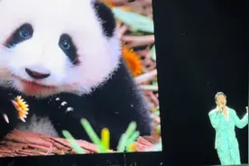 心跳💓#王力宏 #现场版live #神级live现场 #心跳视频封面