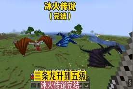 冰火传说（完结）:三条龙升到5级，冰火传说完结#我的世界