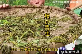 越南美食，爆炒青虫，越南吃货真是无奇不有！#奇特美食大搜罗视频封面