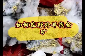 野外如何寻找金矿！#寻宝之路历尽艰辛 #地质勘探 #金矿 #探秘 #户外自然探险发现