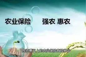 中华联合财险为农业发展添生机添活力视频封面