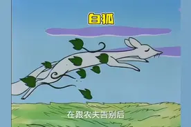 白狐 天上白狐到人间同农夫在一起，生下了一个孩子。#童年动画视频封面