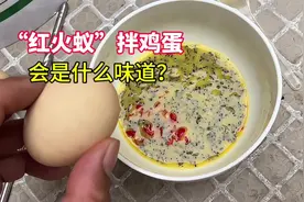 小伙用蚂蚁做食材，鸡蛋和蚂蚁拌一起，这样下锅你敢吃么