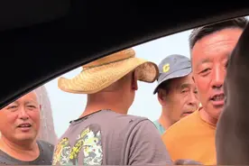 #路边摊美味 #盒饭 #锦州话 #东北人自带幽默感视频封面