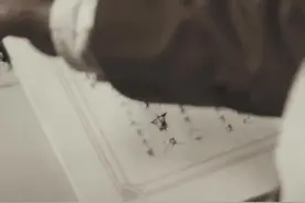 1945年8月15日，8年抗日战争结束，8年内日军屠杀我人民3500万视频封面