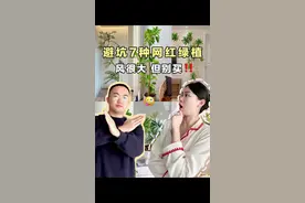 抠门老公说我连仙人掌都养不活，这些网红绿植买回家还不是踩大坑！#室内绿植 #绿植 #软装搭配 #省钱 #避坑