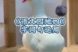 二年级下册语文 语文园地四  #字词句运用 #词语积累 #形容生气的词语 #形容高兴的词语 #形容难过的词语视频封面