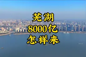 芜湖8000亿GDP目标还能实现吗，产业爆发点会在哪 #芜湖 #安徽