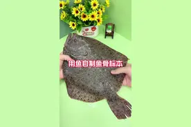 真的有这么神奇吗？#测评视频封面