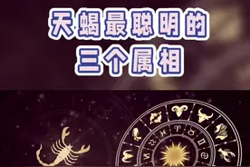 天蝎最聪明的三个属相#天蝎 #天蝎座 #天蝎女 #天蝎男 #天蝎座女孩