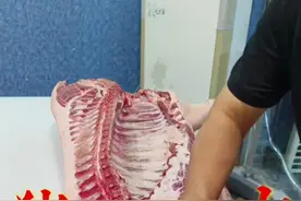 认识猪肉 了解猪肉的小知识，要吃肉，肥中瘦#猪肉 #美食 #左手刀鹏哥