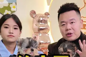 约克夏的品相区别 #约克夏 #超小体约克夏 #约克夏幼犬  #约克夏品相 #约克夏多少钱一只视频封面