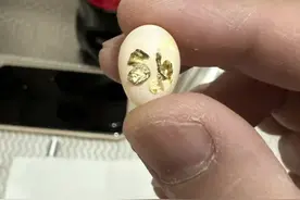 我就不信这个邪 昨天发布的视频，第一次发布，平台警告！第二次修改字幕仍然警告！并归为互相关注可见！我说啥了？很正常啊，难道管理员都不拉X？这次是第三次上传！我特意去掉所谓的腌臜之物的发音，关闭字幕！不制作封面！我看看啥效果！难不成封号？我在分享生活日常而已哦！