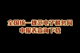 全国统一规范电子税务局申报表查询下载#会计 #会计实操 #税务视频封面