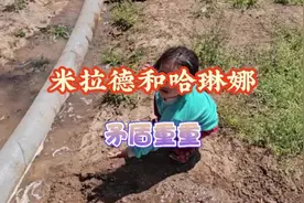 这两个女人又又又打起来了，阿丽玛实在太过分，不干活还老是捣乱视频封面