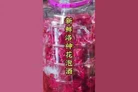 洛神花又叫红桃K玫瑰茄，用它泡的洛神花酒酸酸甜甜的，颜值和价值都很高，这个泡酒方法收藏好#泡酒 #泡酒好材料 #红桃k #洛神花 #玫瑰茄