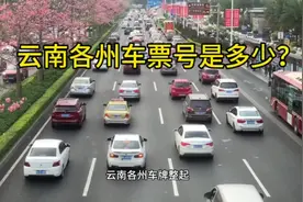 你知道云南各州车牌分别是多少吗？#云南#车牌号视频封面