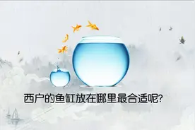 西户的鱼缸放在哪里最合适呢？#风水装修 #家居布局 #装修风水