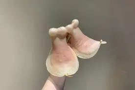 10件不吃不喝也要买的高级小家电，不好用我砸手机#实用好物视频封面