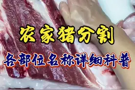 猪肉分割与各部位名称科普，教年轻人认识猪肉，看完该怎么选择 #猪肉 #阿浩教你选猪肉 #教年轻人认识猪肉 #买猪肉怎么挑选好肉 #猪肉分割技巧