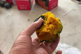 贝贝南瓜一定要沉塘，要不然没有甜味，别跑了，一定要等等视频封面