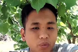 白毛杨树到底是谁引进的#社会百态 #你怎么看#满天飘的白毛毛