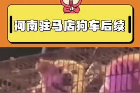 还没有结束，还有很多狗狗身处黑暗，不敢想在狭小笼子里它们会多绝望……#狗狗 #河南濮阳视频封面