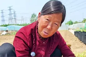 家庭种植大葱的方法 家庭种植大葱的详细种植方法#大葱种植 #种植小技巧 #生菜杨姐 #三农 #三农种植 @DOU+小助手视频封面