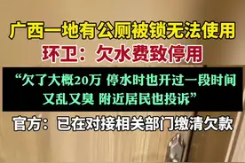 官方回应广西一公厕欠水电费关闭（新京报）视频封面