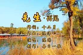 音画欣赏《先生再见》演唱：陈瑞，原唱完整版。#好歌推荐视频封面