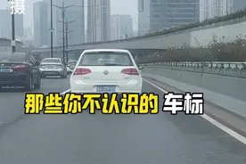 看车标你能认识几个车#每天一个用车知识 #汽车知识视频封面