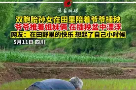 双胞胎孙女在田里陪爷爷插秧，画面很温馨！来源@陈小小🍀视频封面