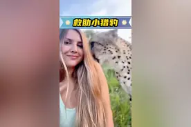 女孩救了一只小猎豹，长大后猎豹竟然回来报恩 #人与动物和谐共处 #神奇动物在抖音 #万物皆有灵性 #萌宠出道计划 #野生动物零距离