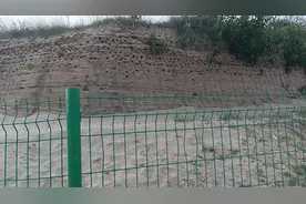 正定县滹沱河崖沙燕保护地视频封面