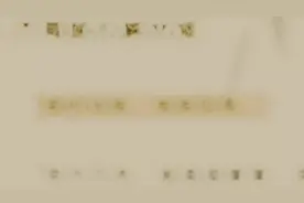 以弟开头，以帝结尾，我叫刘弟，弟弟的弟；我叫刘帝，帝王的帝