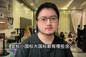金标小国标大国标都有哪些含义？#王者荣耀工作室