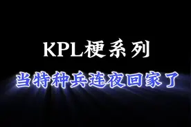 “当特种兵连夜回家了”是什么梗【KPL梗系列】